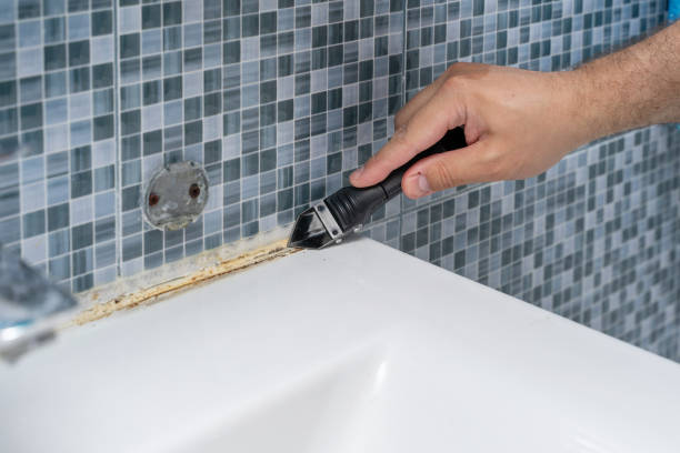 Best Preventive Mold Services in Freeman, SD